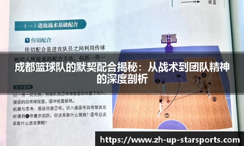  星空体育官网入口